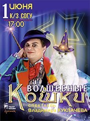 Театр кошек Куклачева. Владимир и Екатерина Куклачевы в программе «Волшебные Кошки»