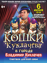 Кошки Куклачева в городе