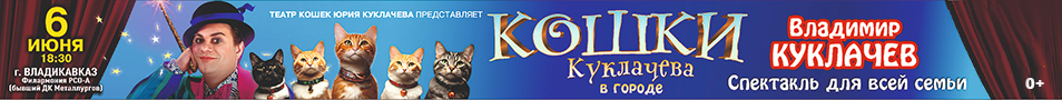 Кошки Куклачева в городе